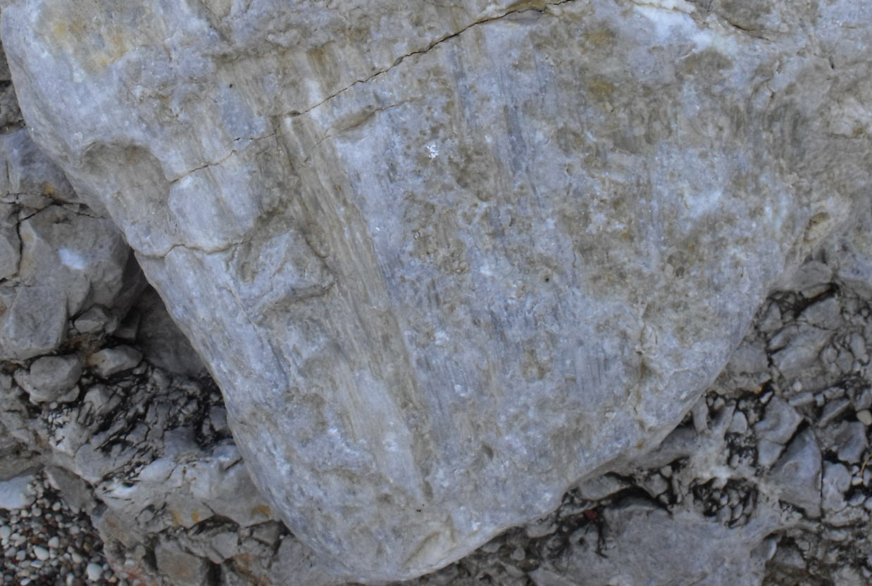 Minerale o fossile
